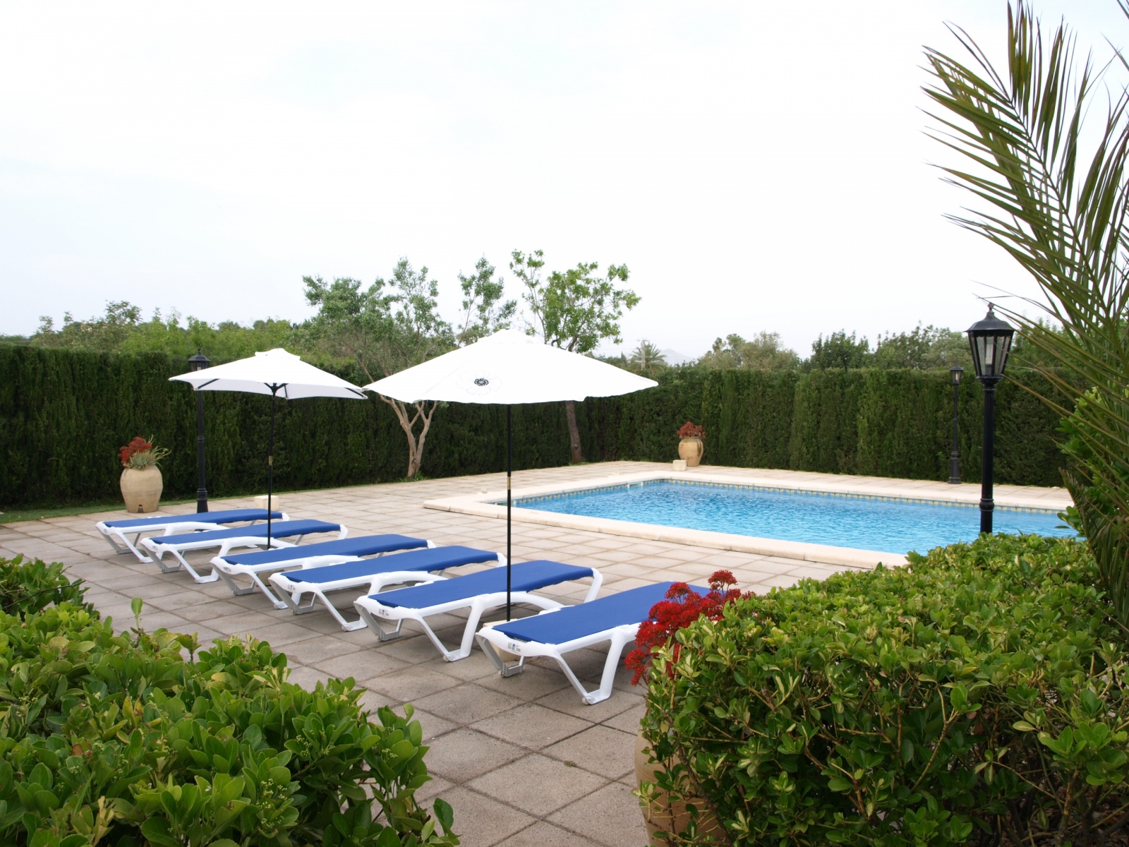 Swimmimg pool