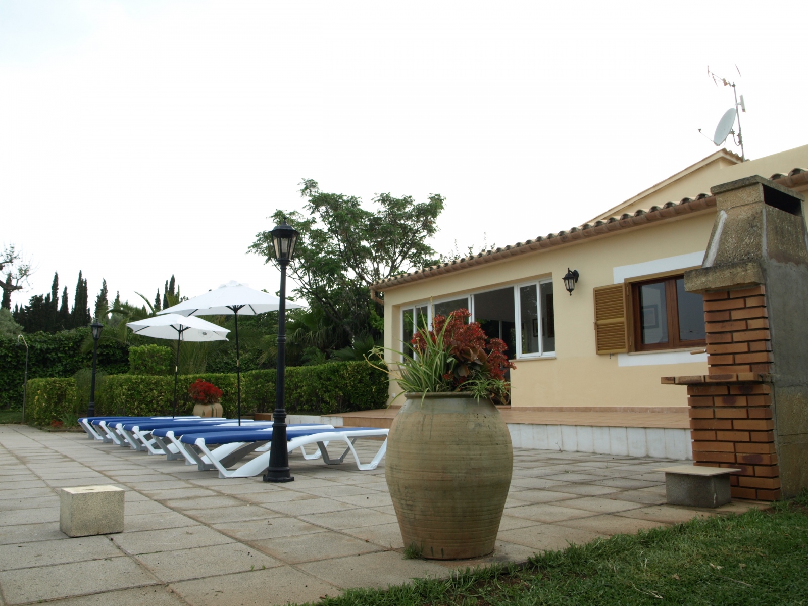 Swimmimg pool and terrace